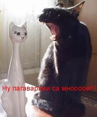 Что хочет женщина Что хочет женщина